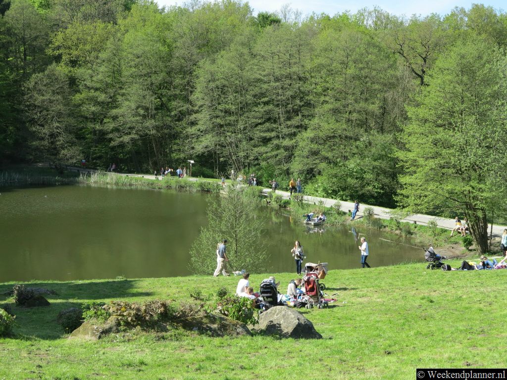 Op het grasveld bij de Externsteine kun je picknicken en kinderen spelen er. Er is een kleine kiosk waar je overdag drinken en snacks kunt kopen.Tip: Het is een leuke plek voor een picknick.